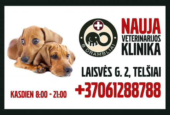 Birželio 1-ąją į Žemaitijos sostinę Telšius įžengia „8 drambliai” veterinarijos klinika. Birželio 1-ąją į Žemaitijos sostinę Telšius įžengia „8 drambliai” veterinarijos klinika.